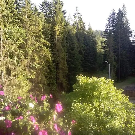 Maison d'hôtes Dom Wczasowy Skalka *