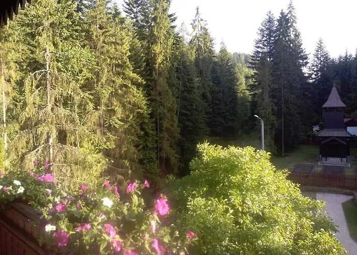 Penzion Dom Wczasowy Skalka *